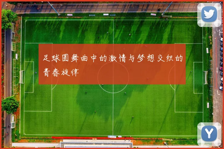 足球圆舞曲中的激情与梦想交织的青春旋律