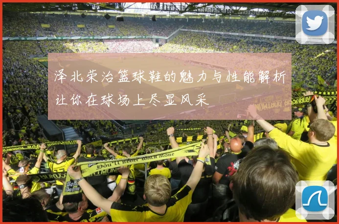 泽北荣治篮球鞋的魅力与性能解析让你在球场上尽显风采